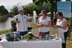 bitwa_regionow_2015_007