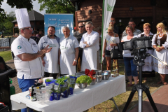 bitwa_regionow_2015_008