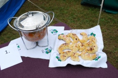 bitwa_regionow_2017_004