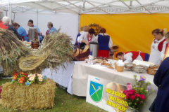 bitwa_regionow_2017_011