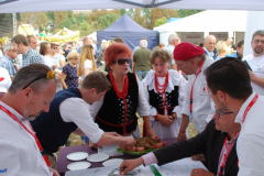 bitwa_regionow_2018_02