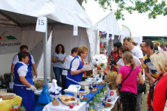 bitwa_regionow_2018_11