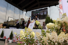 bitwa_regionow_final_2021_048