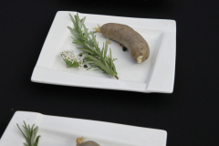 bitwa_regionow_final_2021_482