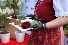 bitwa_regionow_final_2021_485