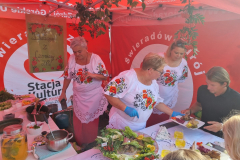 male_dolnoslaskie_Ietap-BR_26.11-14
