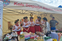 male_dolnoslaskie_Ietap-BR_26.11-23