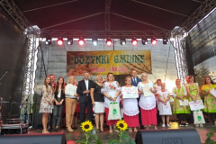 male_dolnoslaskie_Ietap-BR_26.11-3