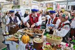 bitwa_regionow_final_2019_017