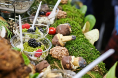 bitwa_regionow_final_2019_029