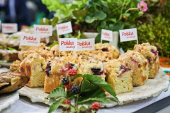 bitwa_regionow_final_2019_031