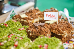 bitwa_regionow_final_2019_036