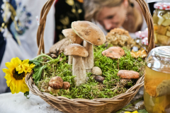 bitwa_regionow_final_2019_040