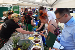 bitwa_regionow_2022_005