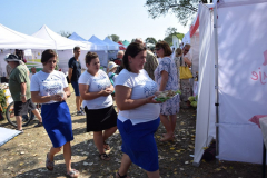 bitwa_regionow_kujawsko_pomorskie_2019_002