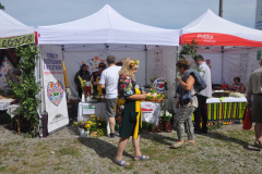 bitwa_regionow_lodzkie_2019_003