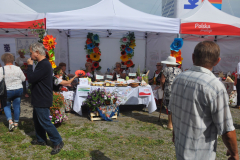 bitwa_regionow_lodzkie_2019_004