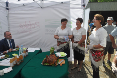 bitwa_regionow_lodzkie_2019_015