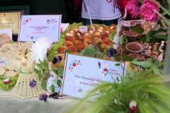 bitwa_regionow_lubelskie_2019_008