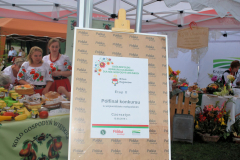 bitwa_regionow_malopolskie_2019_002