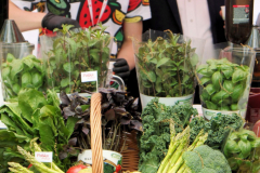 bitwa_regionow_mazowieckie_2019_011