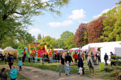 bitwa_regionow_mazowieckie_2019_018