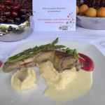 BR-Podkarpackie-Boguchwala_28062025-6