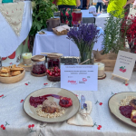 Aromatyczna Kaczka pieczona z farszem wiśniowo- jabłkowym - Koło Gospodyń Wiejskich Jareniówka - II miejsce  