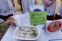 pomorskie_etap_I_BR-8