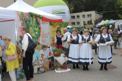 bitwa_regionow_warminsko_mazurskie_2019_004