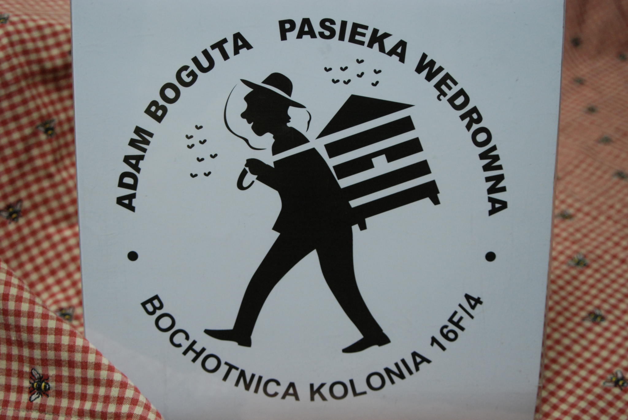 logo